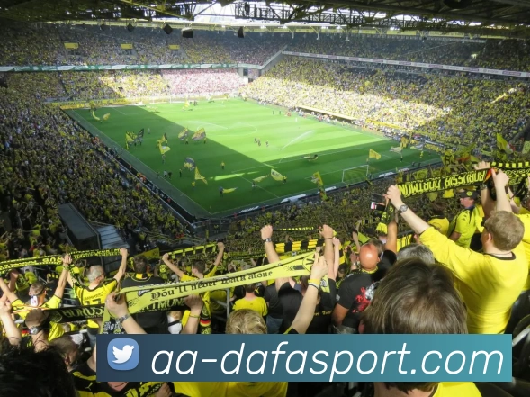 大发体育投注发展历程